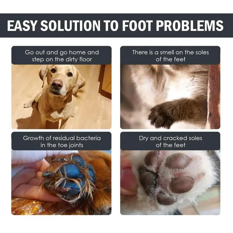 PawClean - Image 2