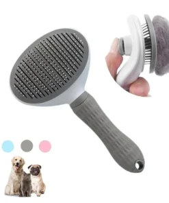 Momo Brush