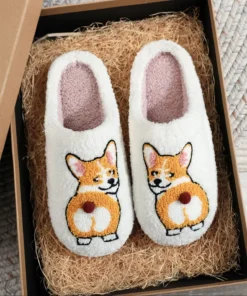 Corgi Slides
