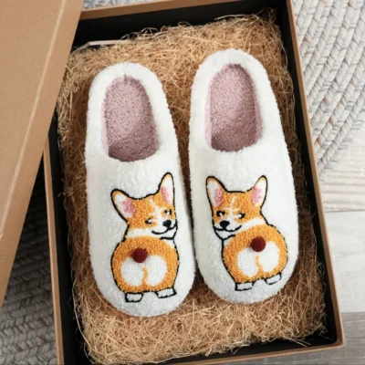 Corgi Slides