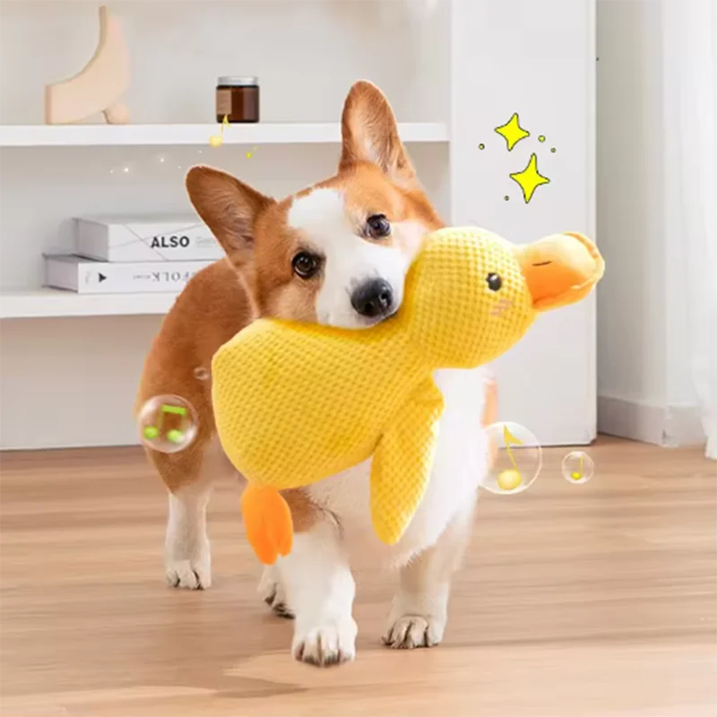 Ducky Buddy - Imagen 3