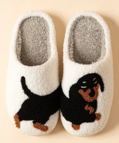Doxie Slides