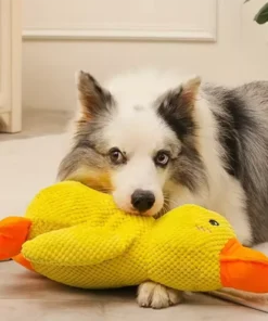Ducky Buddy