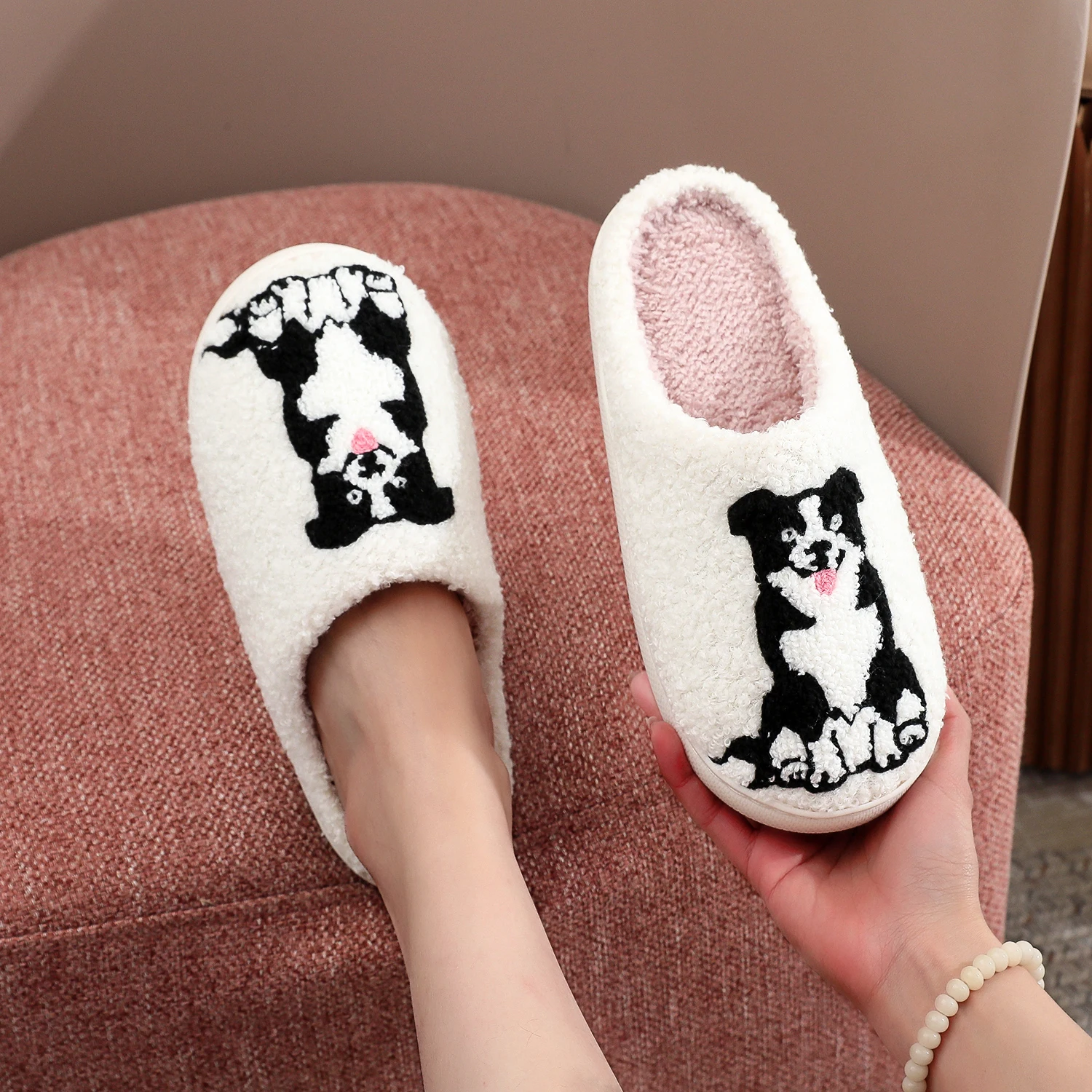 BorderCollie slides - Imagen 3