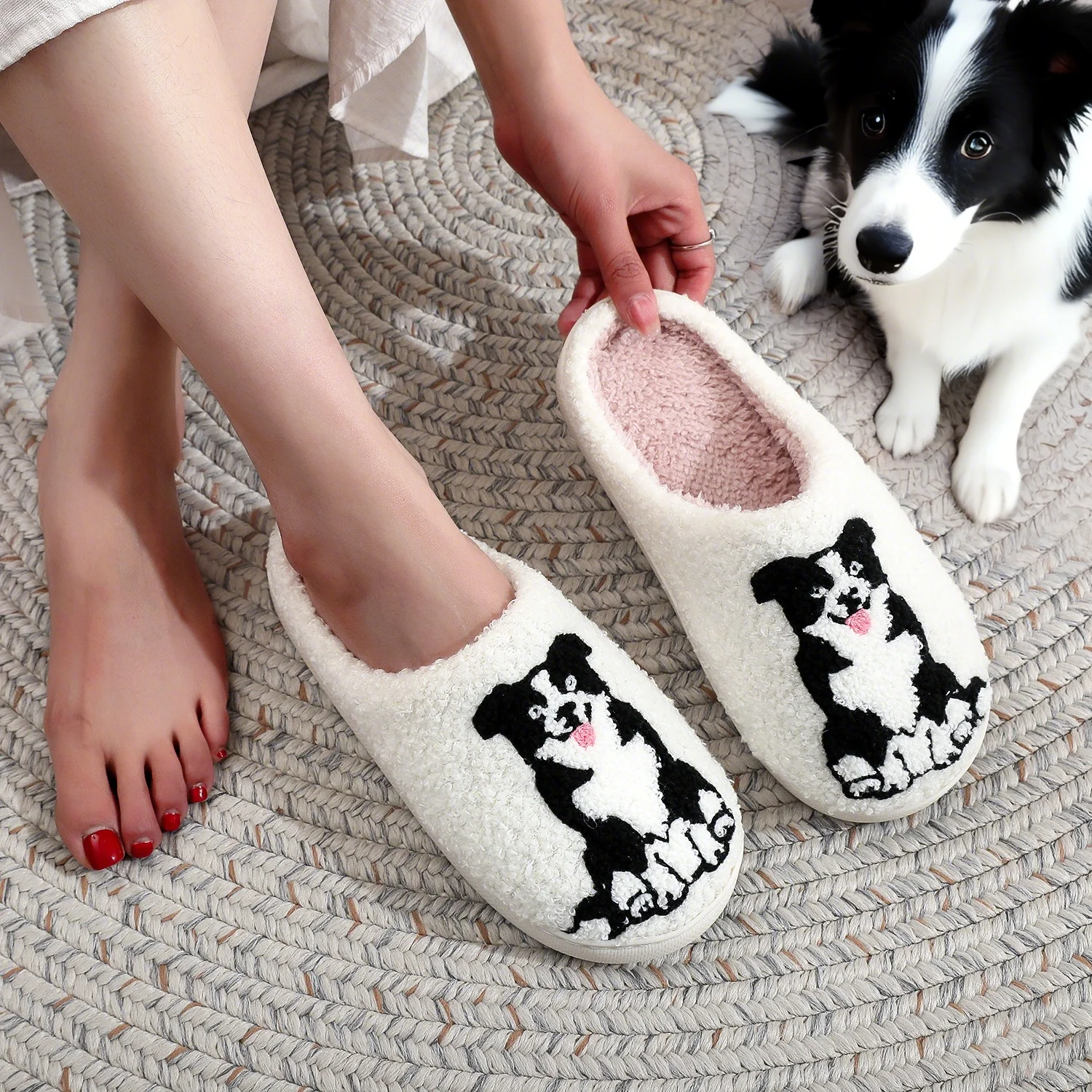 BorderCollie slides - Imagen 2