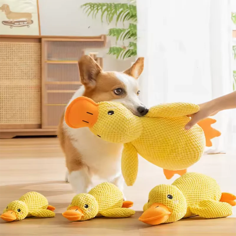 Ducky Buddy - Imagen 2