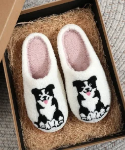 BorderCollie slides