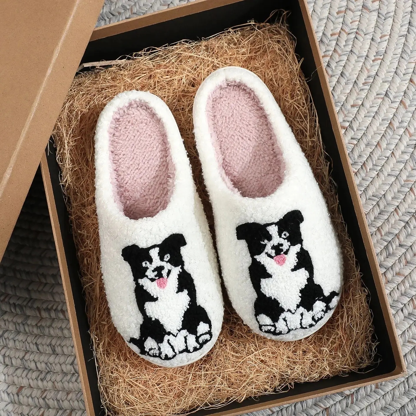 BorderCollie slides