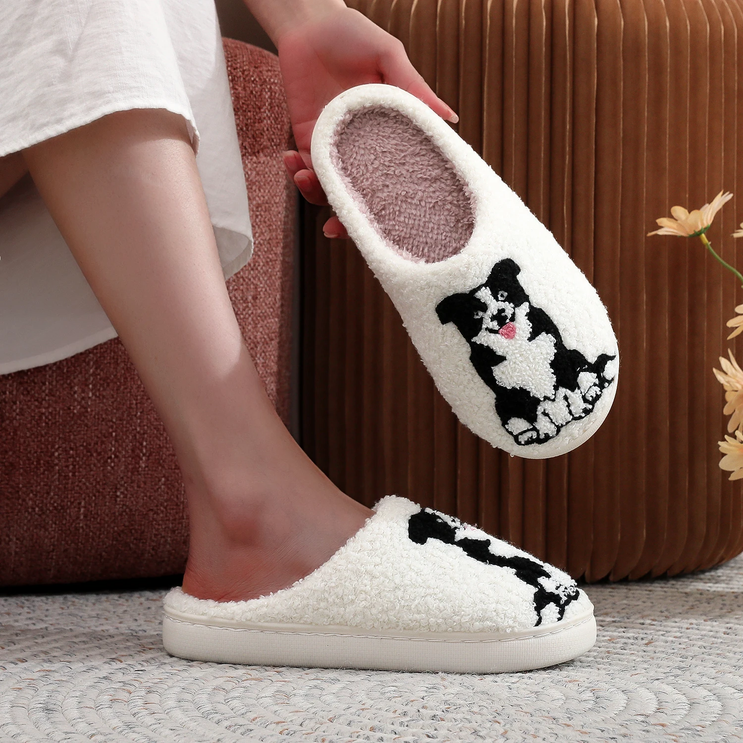 BorderCollie slides - Imagen 4